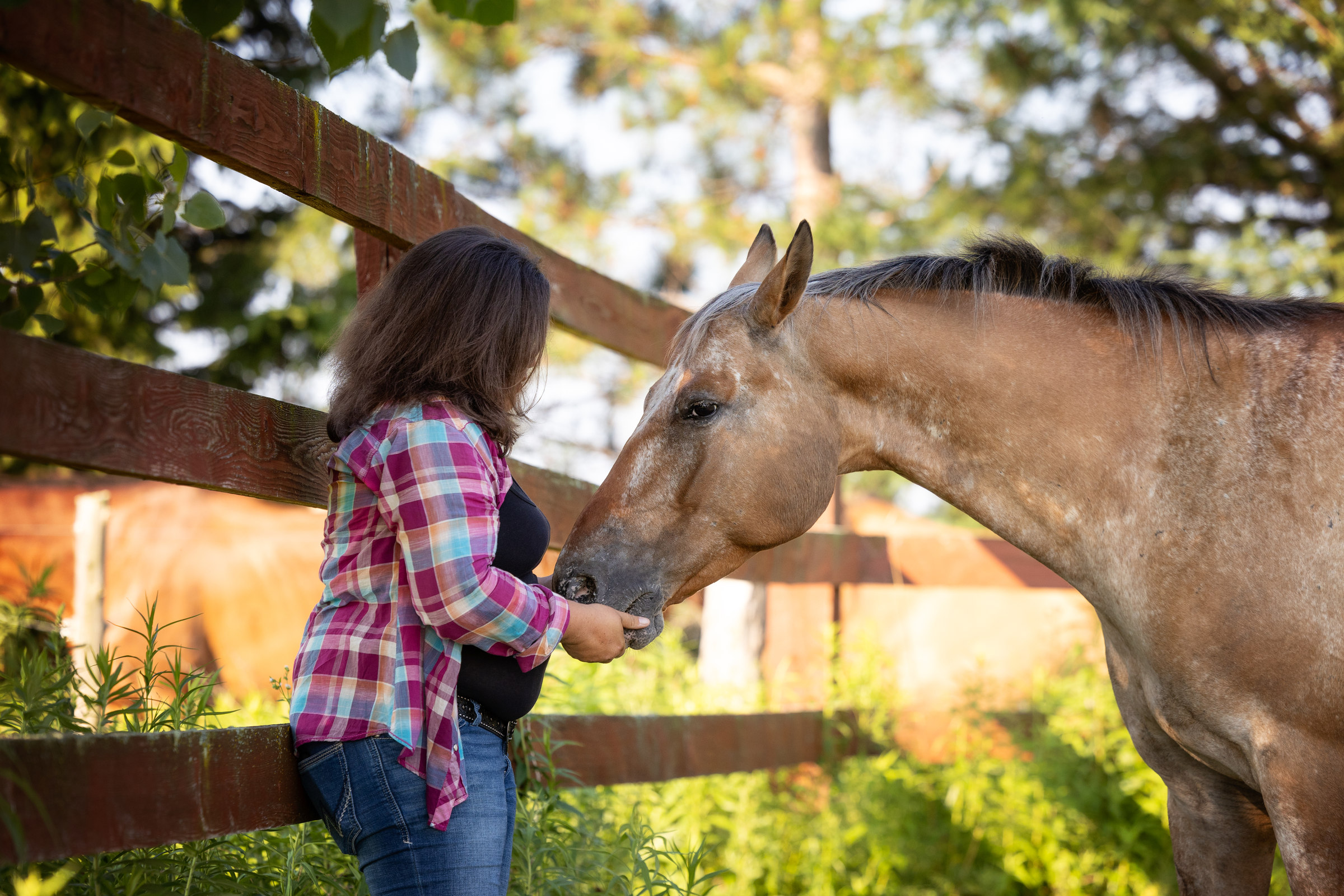 La relation avec les chevaux aux Écuries Vignola