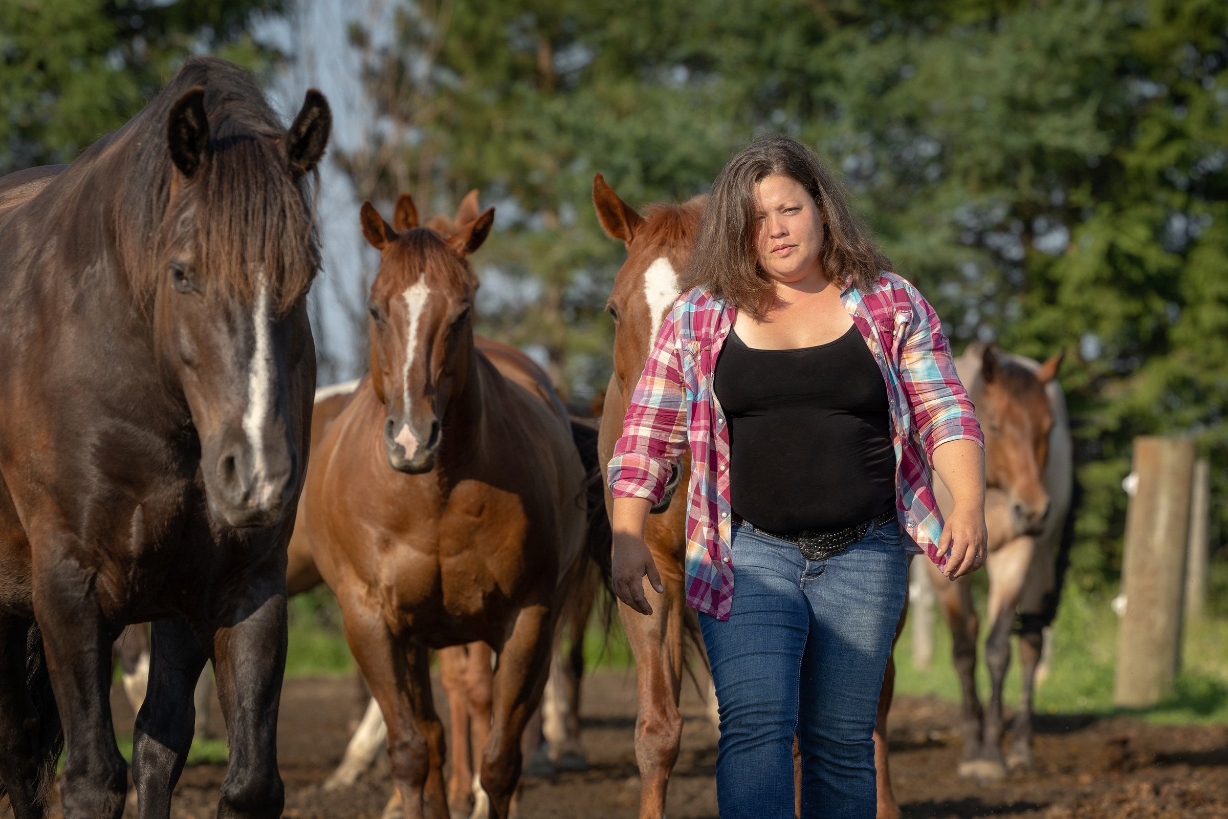 Chevaux et famille aux Écuries Vignola