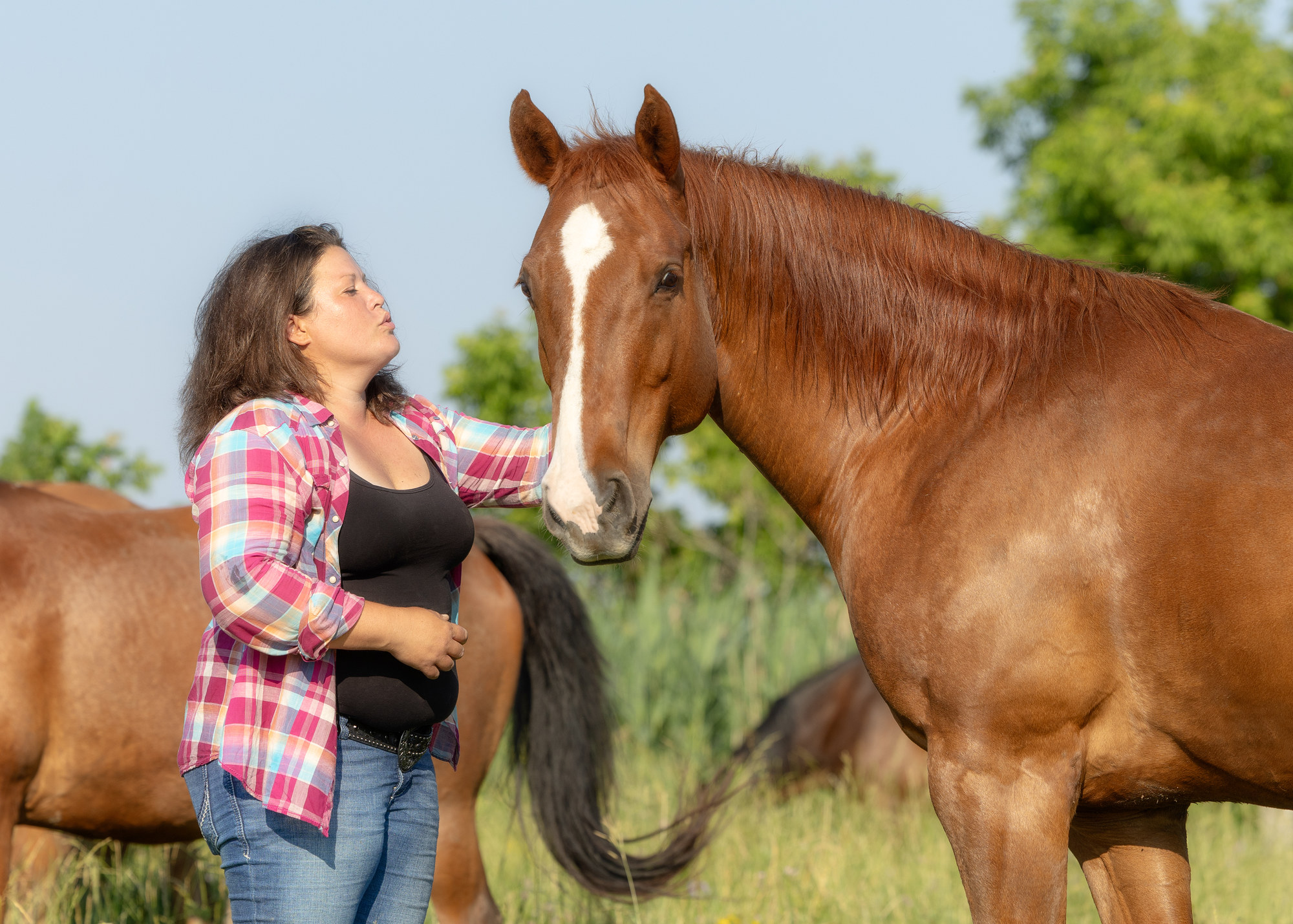 Un moment auprès d’un cheval aux Écuries Vignola